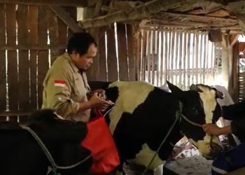 UB Siapkan Rapid Test PMK